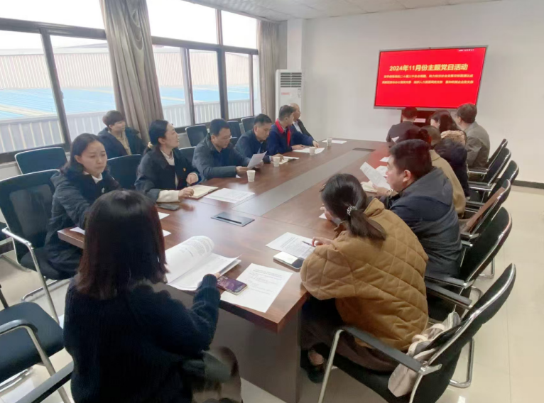 深入學(xué)習(xí)黨的二十屆三中全會(huì)精神，開(kāi)展主題黨日活動(dòng)